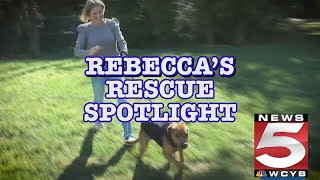 Rebeccas Rescue Spotlight January 812 [upl. by Ymaral395]