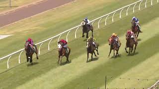 Toowoomba 20241105 Race 2 [upl. by Ibbed]