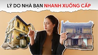 Nhà NHANH XUỐNG CẤP Vì những Lý Do này [upl. by Omora]