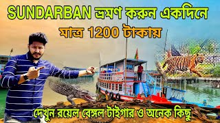 সুন্দরবন ভ্রমণ করুন একদিনেSundarban Tour Guide দেখুন রয়েল বেঙ্গল টাইগার ও কুমির 🐅 [upl. by Raimund]