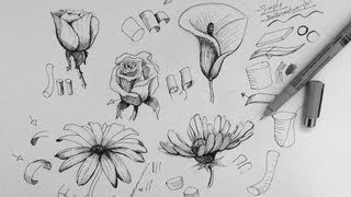 Pen amp Ink Drawing Tutorial  How to draw flowers part 1 [upl. by Hawker]