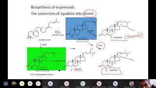 Phytochemistry II Triterpenes 2 Lec 8 [upl. by Nesnej]