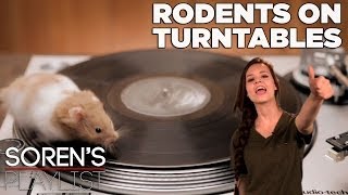 Rodents on Turntables  Best Thing Youll See Today [upl. by Akineg876]