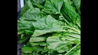 Mustard Greens 101  Nutrition and Health Benefits [upl. by Nuahsyar446]