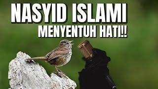 Nasyid Merdu Menyentuh Hati  جــــمال الوجـــــود  No Music No copyright [upl. by Anawad]