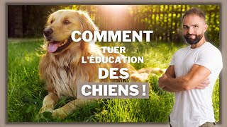 Comment tuer léducation des chiens [upl. by Inimod]