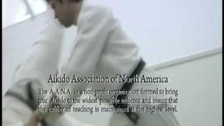 Doshinkan Aikido featuring Utada Kancho Shihan [upl. by Anaylil]