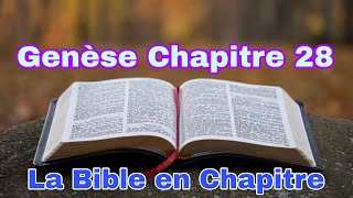 Genese Chapitre 28 [upl. by Brigit]