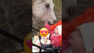 Heartwarming moment A horse is gently nuzzling and sniffing a baby 🥰 [upl. by Maleen]