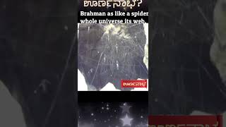 Veda described Brahman as like a spider with the whole universe as its ಊರ್ಣನಾಭ [upl. by Idolah]