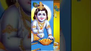 Kanha ji  new bhajan  ladoo gopal  short video [upl. by Norab875]