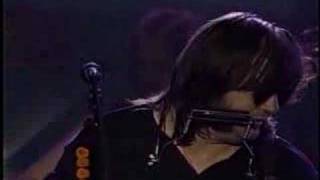 Steve Earle  I Feel Alright MTV Live [upl. by Nuawad]