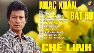 Nhạc Xuân Bất Hủ CHẾ LINH  Nhạc Xuân Dành Cho Những Người Xa Quê  Nhạc Xuân Hải Ngoại Hay Nhất [upl. by Dnilazor]