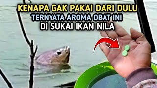 UMPAN IKAN NILA INI TERNYATA AMPUHCampuran Lumut [upl. by Hatfield]