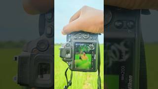 Nikon Camera Photoshoot With Different 📸😱 shorts photography trending india [upl. by Aniroz]