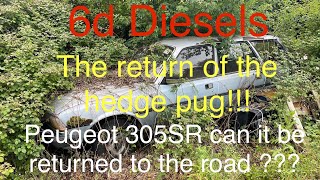 The return of the hedge Pugcan the 305SR be made road legal for the festival of the unexceptional [upl. by Blasien]