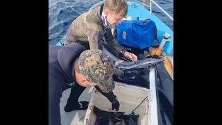 Us with our speared wahoos 😍 fishing spearfish spearfishing fish diving [upl. by Kedezihclem]