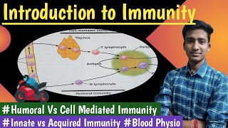 Immunity Innate vs Acquired Humoral vs cell mediated Blood Physio Lectures hindi Ashish [upl. by Irene]