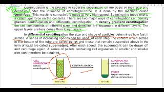 Techniques used in cell biology class 11th cellbiology centrifugation fractionation staining [upl. by Esereht90]