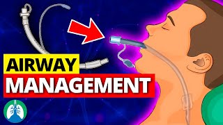 Airway Management OVERVIEW  Artificial Airways  Suctioning  Extubation [upl. by Shaner]