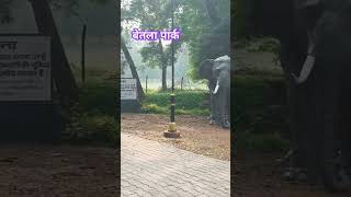 शोर्ट्स funny betala पार्किंग jharkhand shortvideo sultan बाबू kotam [upl. by Almap]