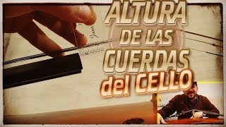 🎻 Tutorial ALTURA de las CUERDAS del Violonchelo [upl. by Altaf]