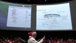 Glycogen Metabolism III  Kevin Aherns BB 450 Lecture 28 2016 [upl. by Naic189]