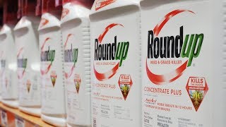 The Monsanto Papers  Roundup amp The Canadian Connection  Enquête [upl. by Leopoldine]