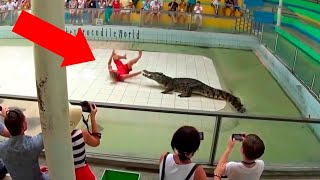 Terrifying Zoo Animal Encounters Watch at Your Own Risk [upl. by Jeno]