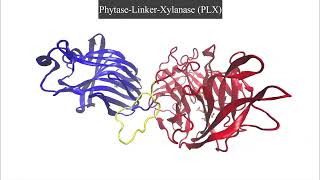 Chimeric xylanasephytase for improved thermal tolerance of feed enzymes [upl. by Osman]