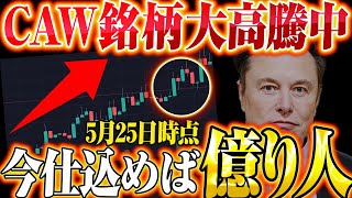 【caw最新情報】関連仮想通貨CAWCEOが爆誕大高騰中の為今が仕込み時圧倒的先行者利益を手に入れろ【リップルxrp】【イーロンマスク】【CAW】【ETHOS】 [upl. by Dori]