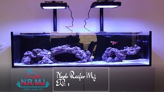 Innovative Marine 30g Ep 1 tank build [upl. by Enelad]