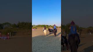 Show Jumping Lesson On Bobbin For The First Time [upl. by Nnylirak50]