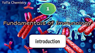 محاضرة 1 اساسيات المناعة immune system immune tolerance antigen hapten  epitope paratope [upl. by Enilrac]