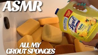 ASMR ALL MY GROUT SPONGES  LEMON LYSOL no waterl [upl. by Heinrich]