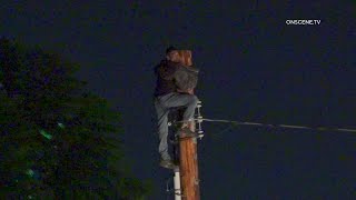 Man Climbs Power Pole Doesnt Elaborate amp Refuses Come Down  Van Nuys [upl. by Resarf]