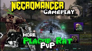 ESO Necromancer PvP  Plague Rat bow necro pvp [upl. by Llewen]