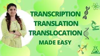 Transcription Translation amp Translocation  Std 9amp10  Protein synthesis [upl. by Htyderem809]