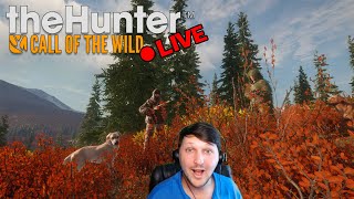 LIVE Hunt amp Hang  theHunter Call of the Wild [upl. by Lamiv]