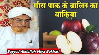 Sarkar E Ghouse Pak Ke Walida Ka Vakiya  Sarkar Sayyed Abdullah Miya Bukhari  FaizeMehamudi786 [upl. by Eltsyrc]