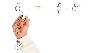 Bromination of phenol [upl. by Eirbua]