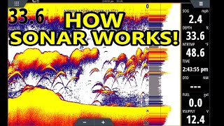 How Fish Finders Work SIMPLIFIED SONAR INSTRUCTIONS [upl. by Oirottiv]