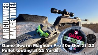 Gamo Swarm Magnum Pro 10x Gen 3i 22 Pellet Testing at 25 yards Can I shoot a decent Group [upl. by Cilka]