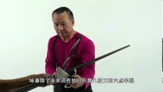 Wan Kam leung Practical Wing Chun Shanghai [upl. by Hassadah]