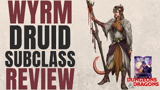 Wyrm Druid Subclass Review Valdas Spire of Secrets  DampD 5e Subclass Series [upl. by Harbird12]