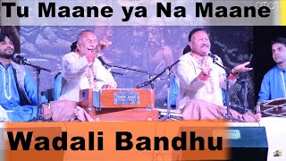 TU MANE YA NA MANE  WADALI BROTHERS [upl. by Darcy]