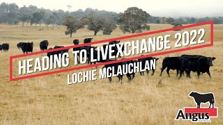 Lochie McLauchlan is headed to LIVEXchange 2022 [upl. by Anahsal]