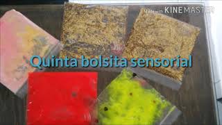 Bolsitas sensoriales para bebés y niños pequeños [upl. by Vladimir]