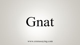 How To Say Gnat [upl. by Oeflein]