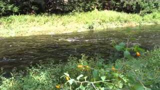 Sheepscot River Canoe Trip to Head Tide Dam [upl. by Atla]